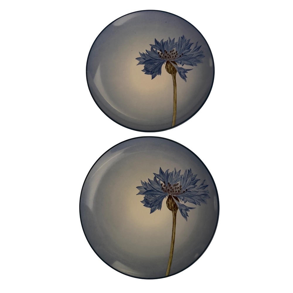 Noritake Colorwave Blue Cornflower Salad Plates Set of 2 Stoneware Size 8.25